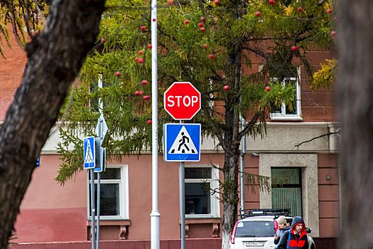 Новые дорожные знаки появятся в России