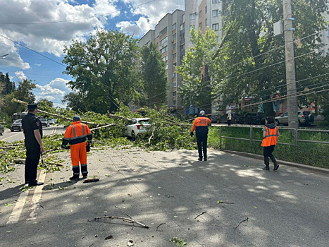 Два человека пострадали из-за упавшего дерева на проспекте Кирова в Самаре