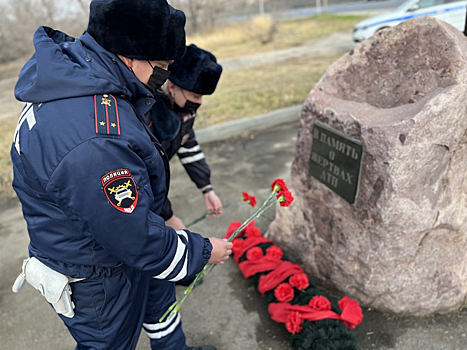 В Волгоградской области в ДТП погибли 185 человек