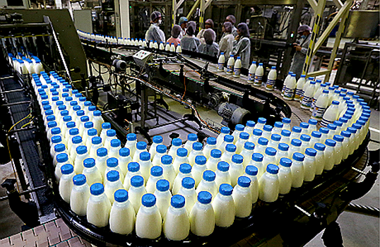 Белорусское молоко может вынужденно сбежать из России