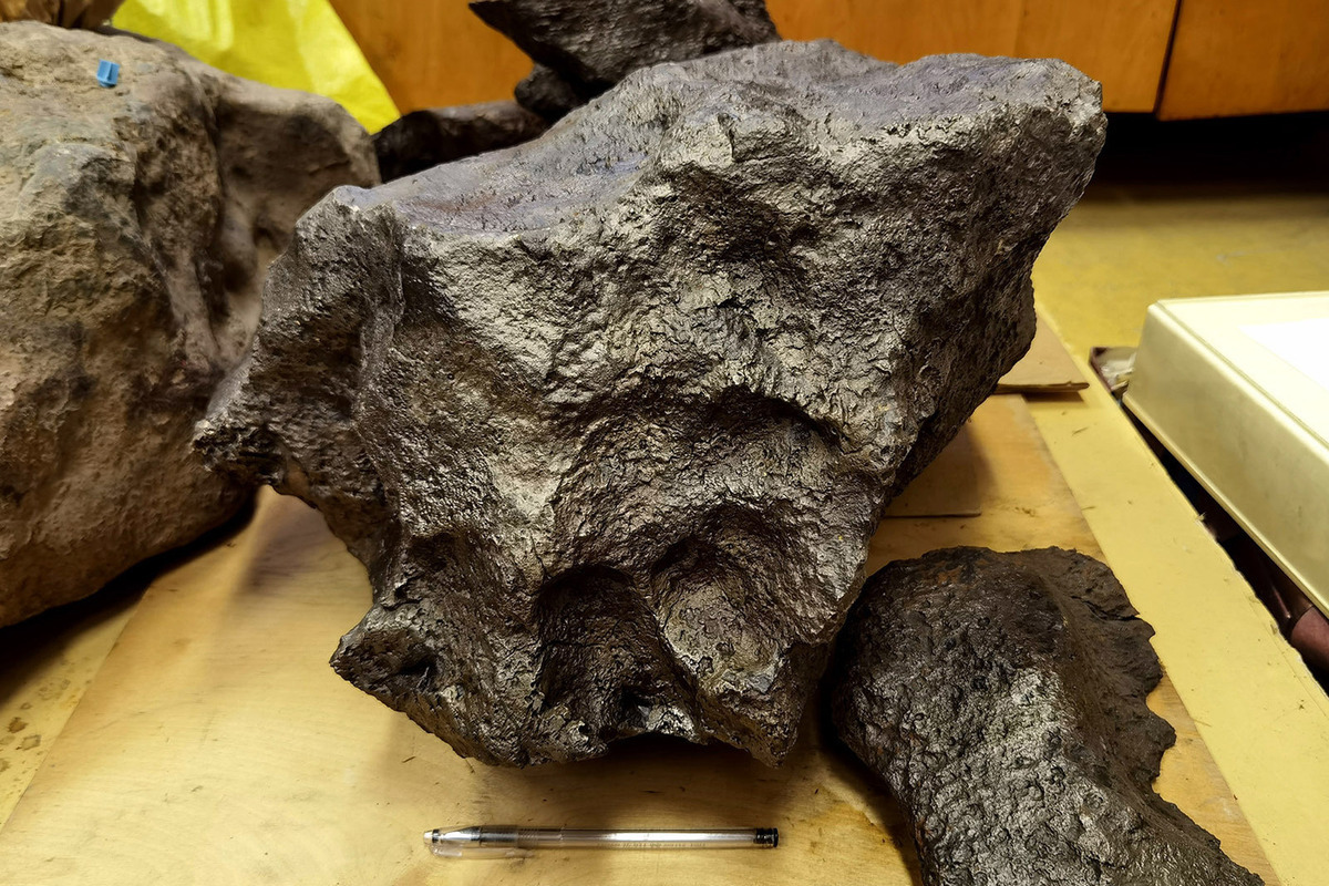 Необычные включения: ученый рассказал, чем привлекателен для коллекционеров метеорит Дронино