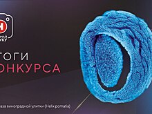 Сердце Югры, феррожидкость и ученый тюлень Филипп: фотоконкурс «Снимай науку!» подвел итоги