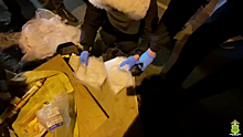 В Рязанской области полицейские пресекли транспортировку 3 кг синтетического наркотика
