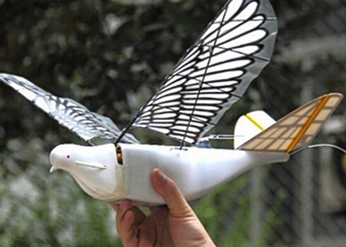 Китай создал шпионские беспилотники, неотличимые от голубей