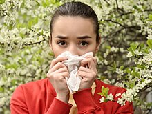 Ученые выяснили, почему сезонная аллергия начинается раньше