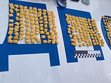 В подмосковной Балашихе полицейские задержали двоих подозреваемых в незаконном обороте наркотиков