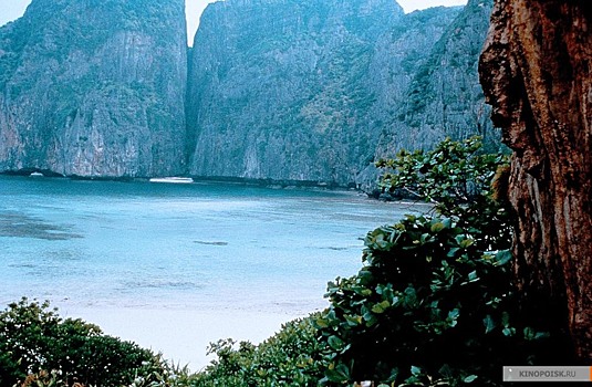 Акулы заполонили знаменитый пляж в Тайланде. Видео