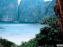 Акулы заполонили знаменитый пляж в Тайланде. Видео