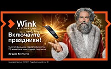 Wink представил специальную подписку «Новогодний Трасформер»