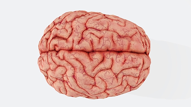 Что такое кетоны и когда они становятся спасением для организма