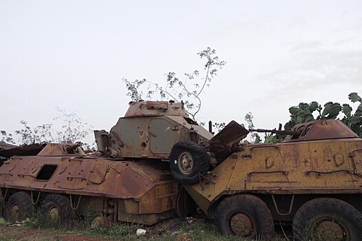 Болгария начала передавать БТР на Украину