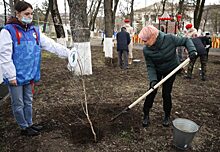 В Красноярском крае высадят более 111 тысяч деревьев в память о погибших в Великую Отечественную войну