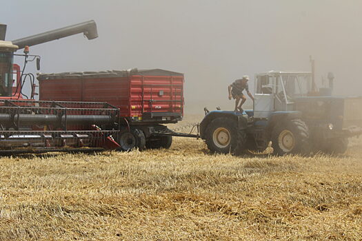 В Анапе завершается уборка пшеницы