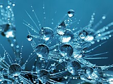 Научно-технологическое развитие: топ-15 регионов РФ