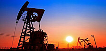 Bloomberg: три члена ОПЕК наложат вето на предложение об увеличении объемов добычи нефти
