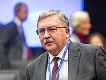 Ульянов усомнился в том, что ЕС понимает значение слова "независимый"