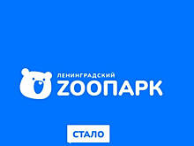 «Логомашина» представила новый фирменный стиль Ленинградского зоопарка