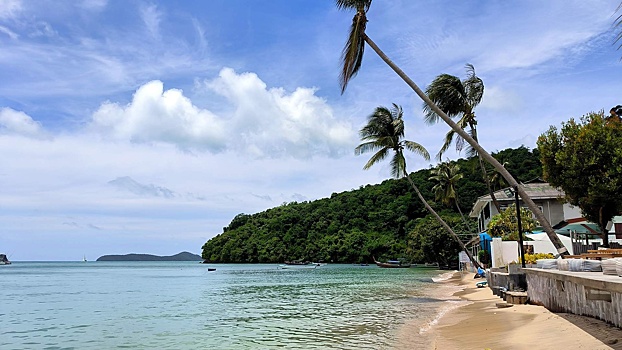 АТОР: пострадавшие в Таиланде россияне застрахованы и получают медпомощь