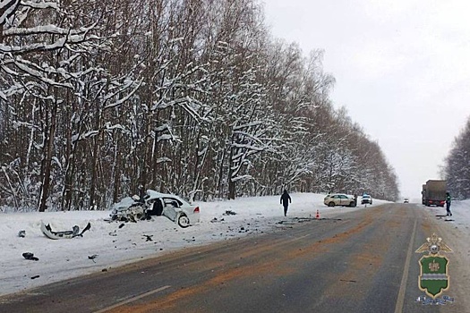 На трассе М-3 под Калугой столкнулись иномарки, погибли три человека