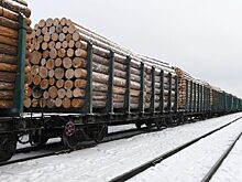 Под Красноярском сгорел подготовленный под погрузку лес