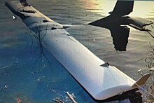 Спортивный самолет упал в Оку у Дзержинска
