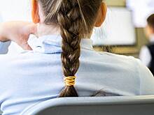 Власти российского города отреагировали на видеообращение не сдавшей языковой тест девочки