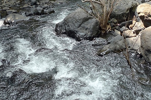 Оползень на Аляске спровоцировал гигантское цунами