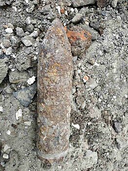 В лесопосадках Вольска мужчина обнаружил минометный снаряд
