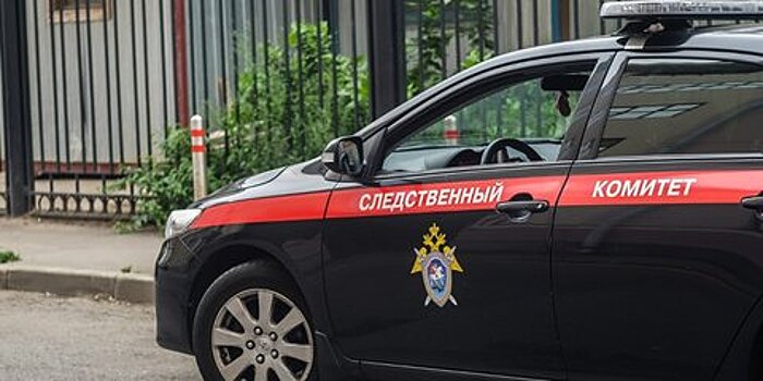 По делу сбитого полицейским ребенка проведут повторные экспертизы