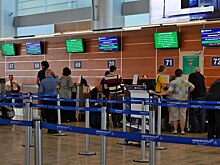 Артемий Лебедев раскритиковал автоматизированный паспортный контроль в Шереметьево