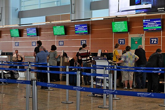 Артемий Лебедев раскритиковал автоматизированный паспортный контроль в Шереметьево
