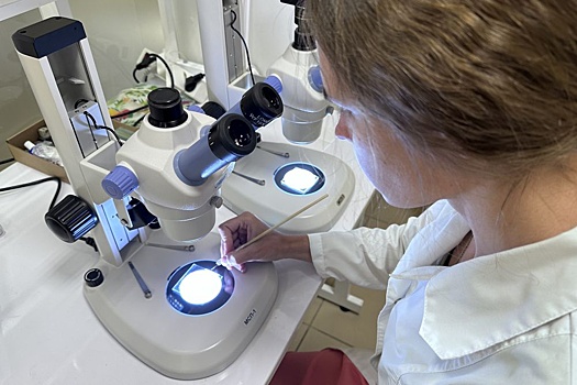 Чего ждать от отечественных производителей лекарств к 2030 году