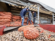 Уборочная кампания началась в Красноярском крае