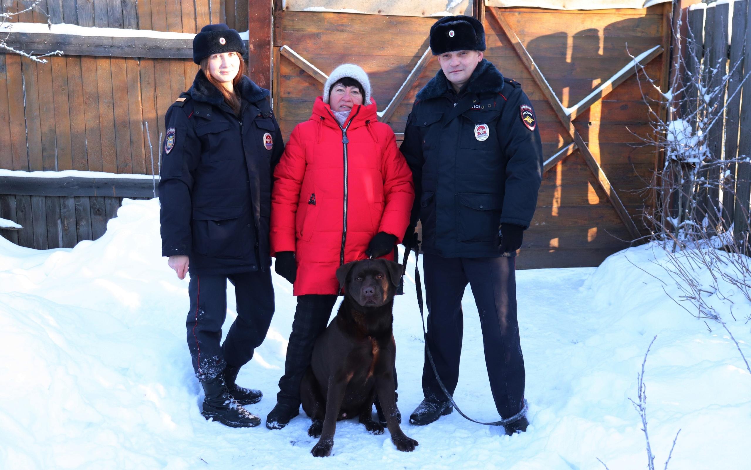 В Иванове сотрудники полиции помогли потерявшемуся лабрадору по кличке Джек вернуться домой