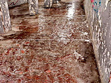 В центре Новокузнецка обнаружили адское место из фильмов ужасов