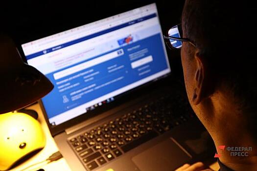 Эксперт: онлайн-голосование в сентябре будет надежно защищено от хакеров