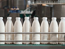 Health & Nutrition ввезла первую партию молочной продукции в ОАЭ