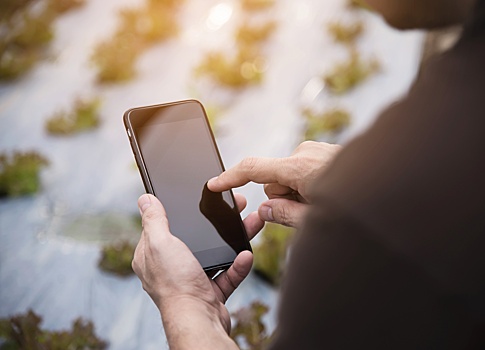 После ареста Павла Дурова в России создали новый мессенджер. Им будут пользоваться на СВО