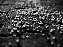 Почем пуд соли для дорог