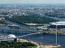 В Петербурге на озеленение направят более 5 млрд рублей в 2025 году