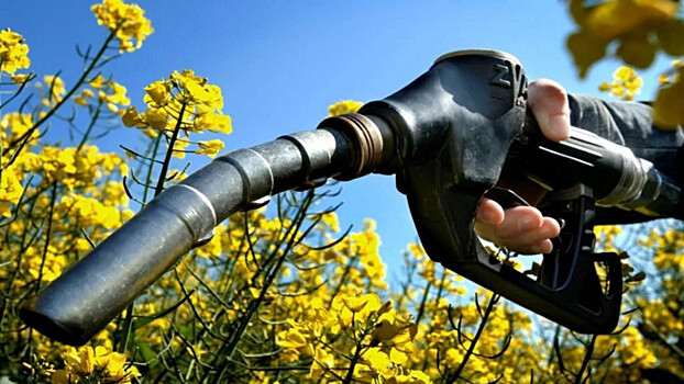 Что такое абулия?