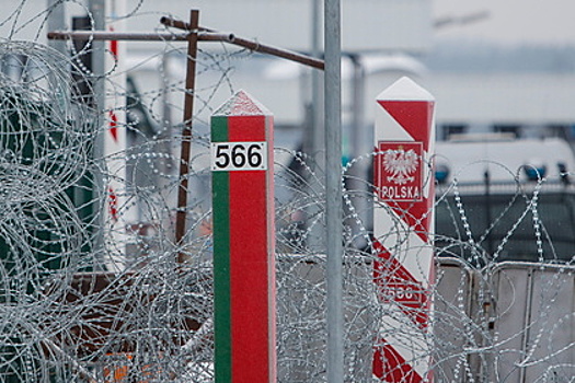 В Польше сообщили о выстрелах на белорусской границе
