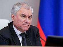 Володин призвал МВД присмотреться к работе Минтруда