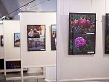 В Крымском ТЮЗе открылась выставка народного фотоклуба "Ялта"