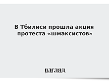 В Тбилиси прошла акция протеста «шмаксистов»
