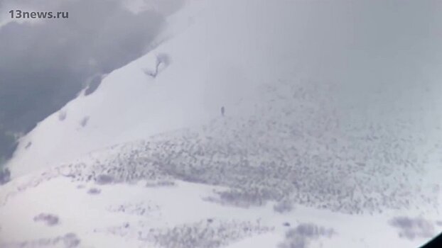 В горах Америки сняли на видео существо с 3-х метровым ростом. Бигфут или монтаж?