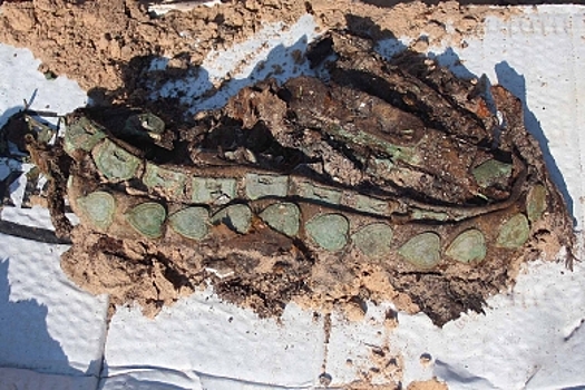 Костромичи раскопали в Марий Эл захоронения, которым больше тысячи лет