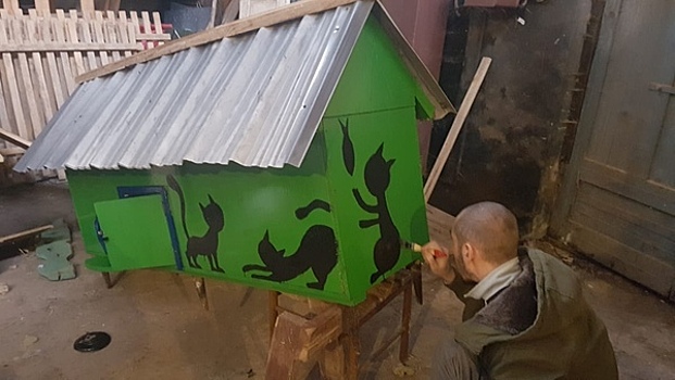 В Немане строят зелёную избушку для бездомных кошек