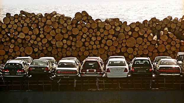 Западные страны выделят Украине больше $70 млн на закупку дров
