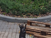 Вологжане потеряли «Девочку с мороженым»